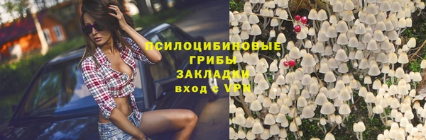 спиды Абинск